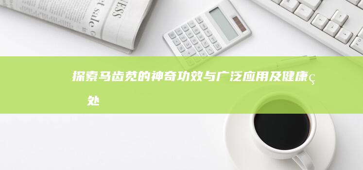 探索马齿苋的神奇功效与广泛应用及健康益处